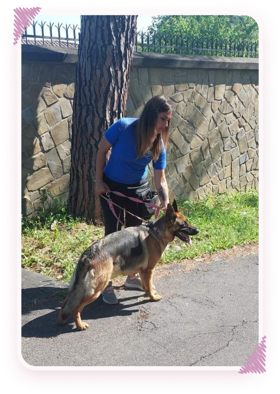 elisa macrì addestra un cane