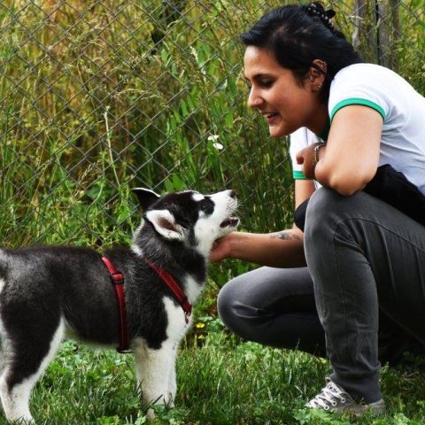 Elisa Macrì educatrice cinofila e consulente felina